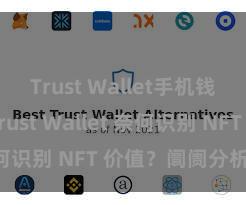 Trust Wallet手机钱包下载 Trust Wallet 奈何识别 NFT 价值？阛阓分析指南