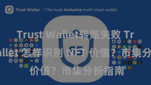 Trust Wallet转账失败 Trust Wallet 怎样识别 NFT 价值？市集分析指南