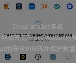 Trust Wallet手机钱包下载 何如开荒Trust Wallet的安全PIN码并保护财富安全？